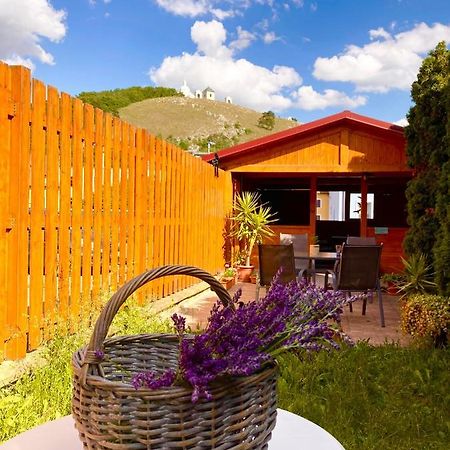 Guesthouse Mikulas Mikulov - Free Parking In The City Center Bagian luar foto