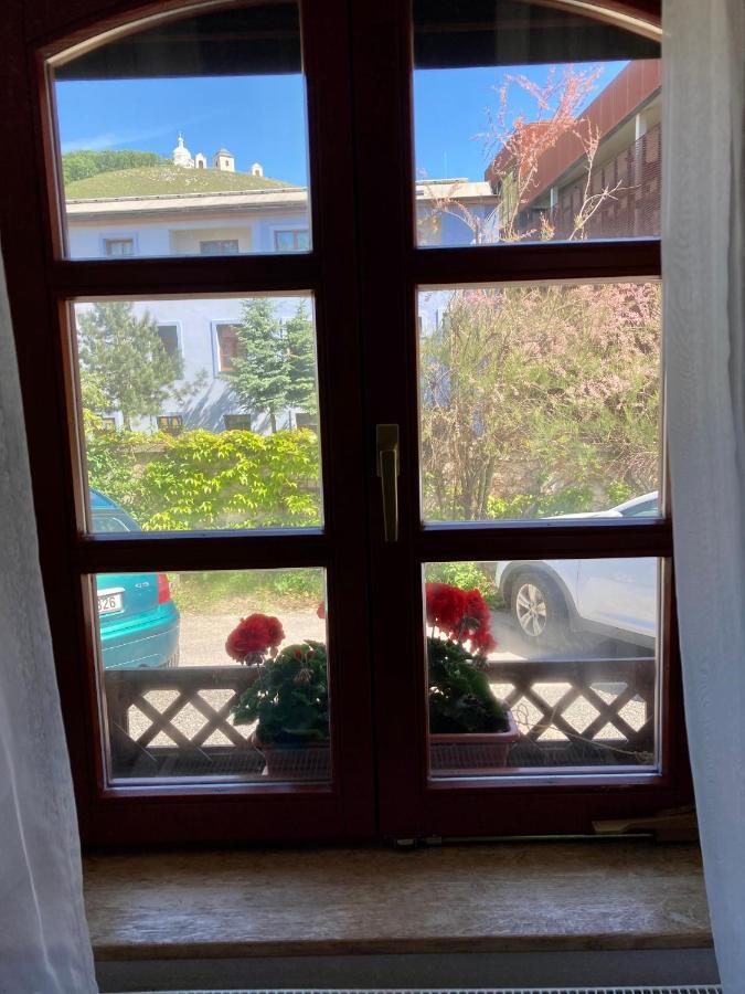 Guesthouse Mikulas Mikulov - Free Parking In The City Center Bagian luar foto