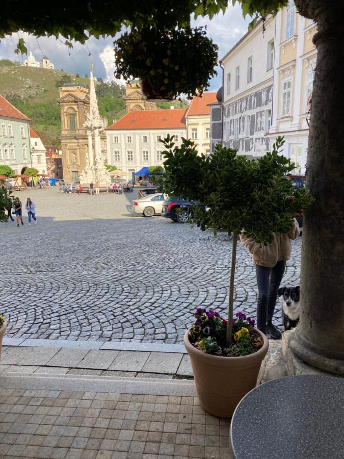 Guesthouse Mikulas Mikulov - Free Parking In The City Center Bagian luar foto