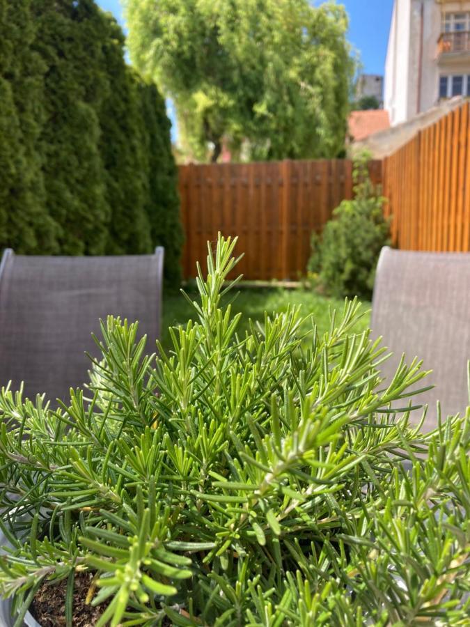 Guesthouse Mikulas Mikulov - Free Parking In The City Center Bagian luar foto
