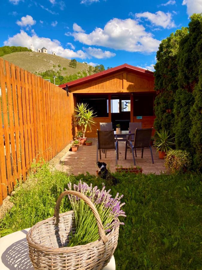 Guesthouse Mikulas Mikulov - Free Parking In The City Center Bagian luar foto