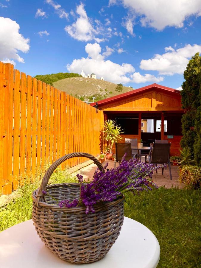 Guesthouse Mikulas Mikulov - Free Parking In The City Center Bagian luar foto