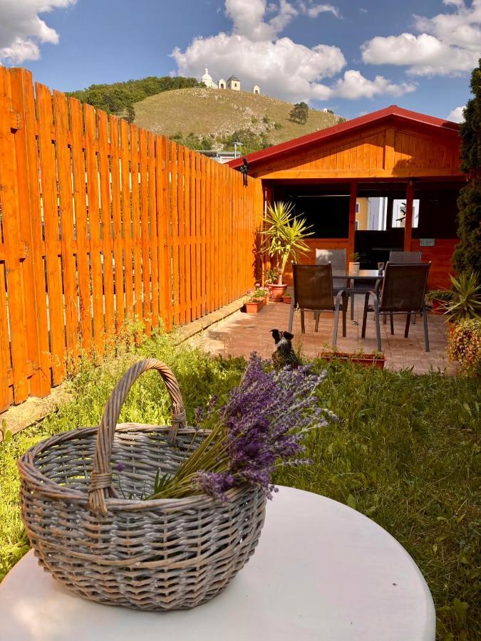 Guesthouse Mikulas Mikulov - Free Parking In The City Center Bagian luar foto