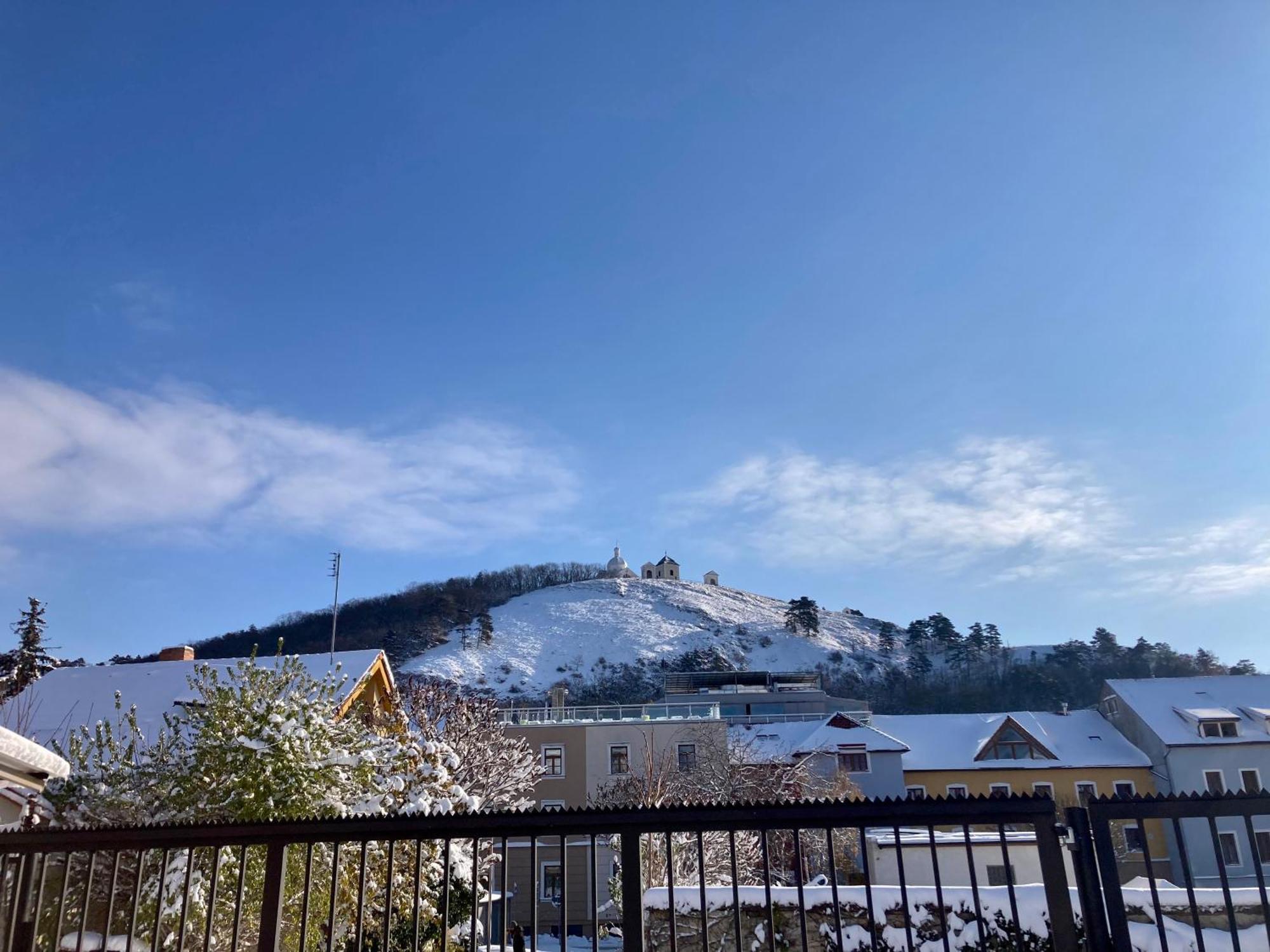 Guesthouse Mikulas Mikulov - Free Parking In The City Center Bagian luar foto