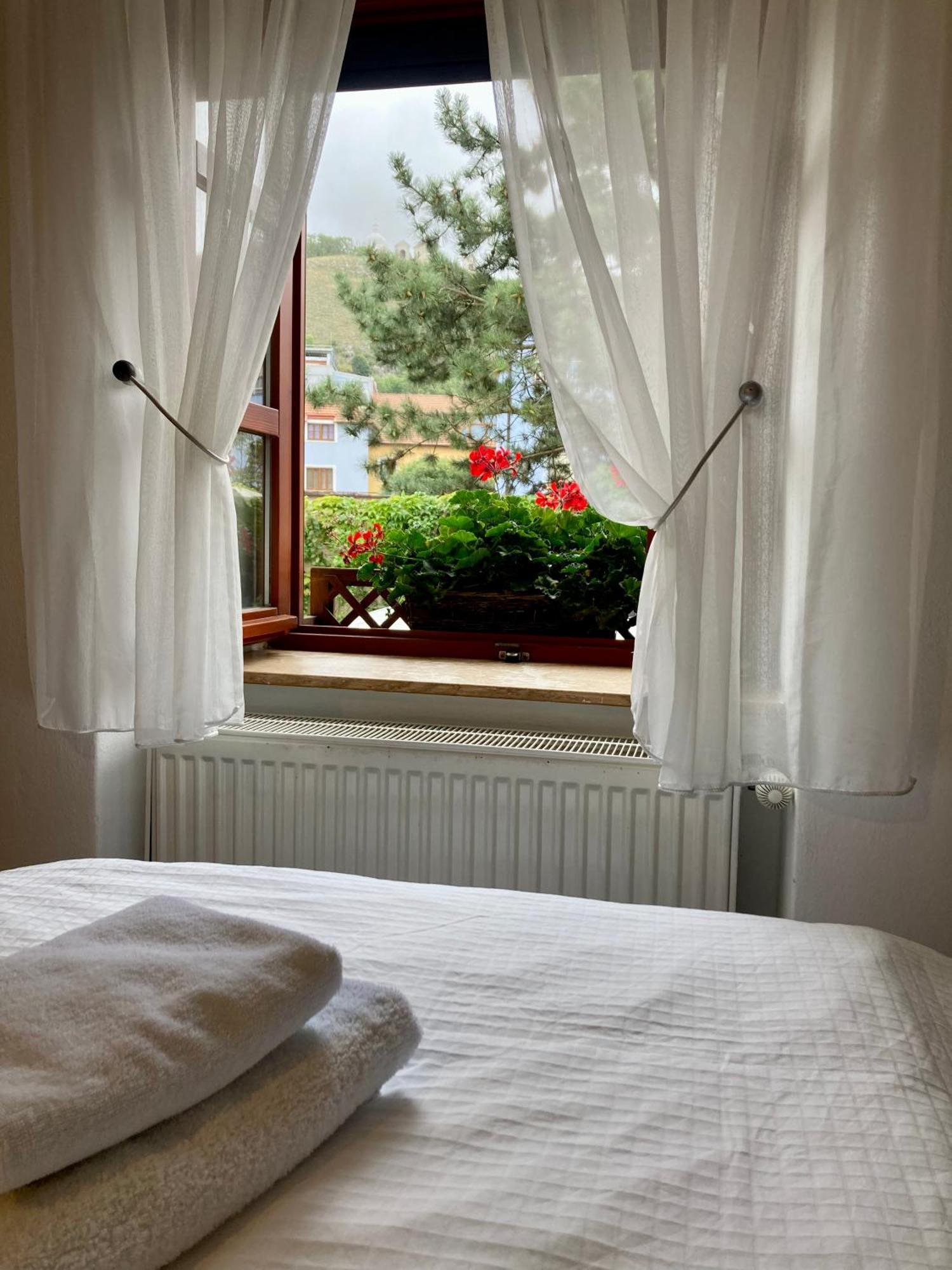 Guesthouse Mikulas Mikulov - Free Parking In The City Center Bagian luar foto